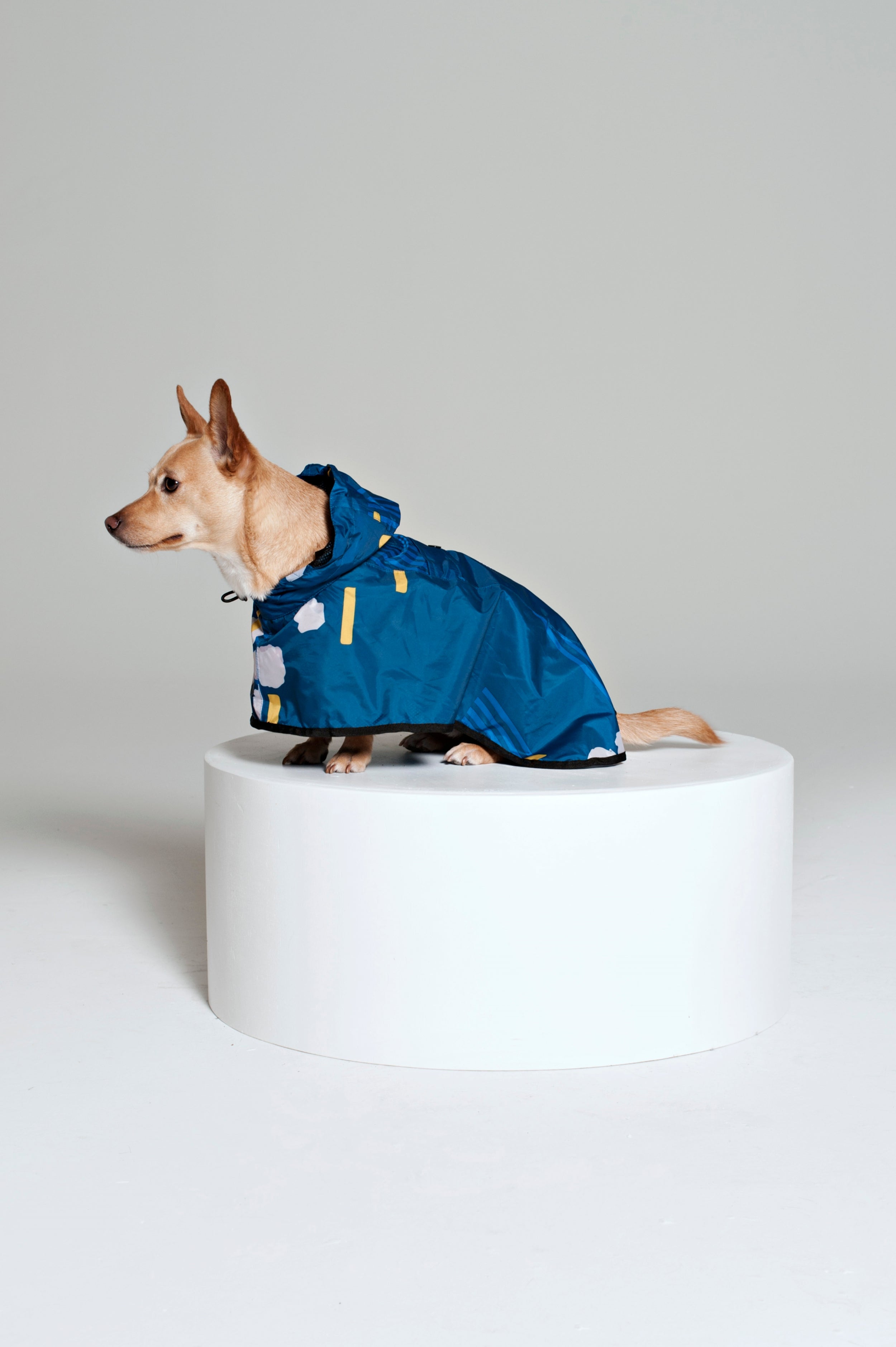 Japanese Blossom Dog Poncho – Rainkiss Rain Ponchos - Main Image