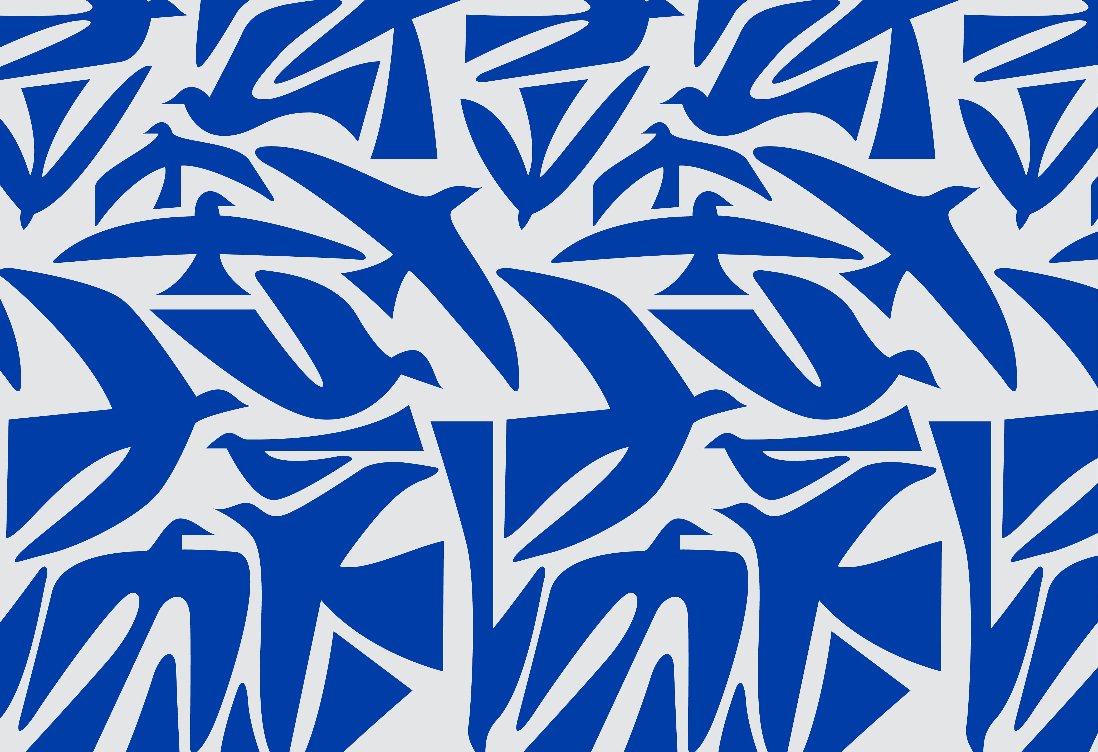 Rainkiss Rain Ponchos