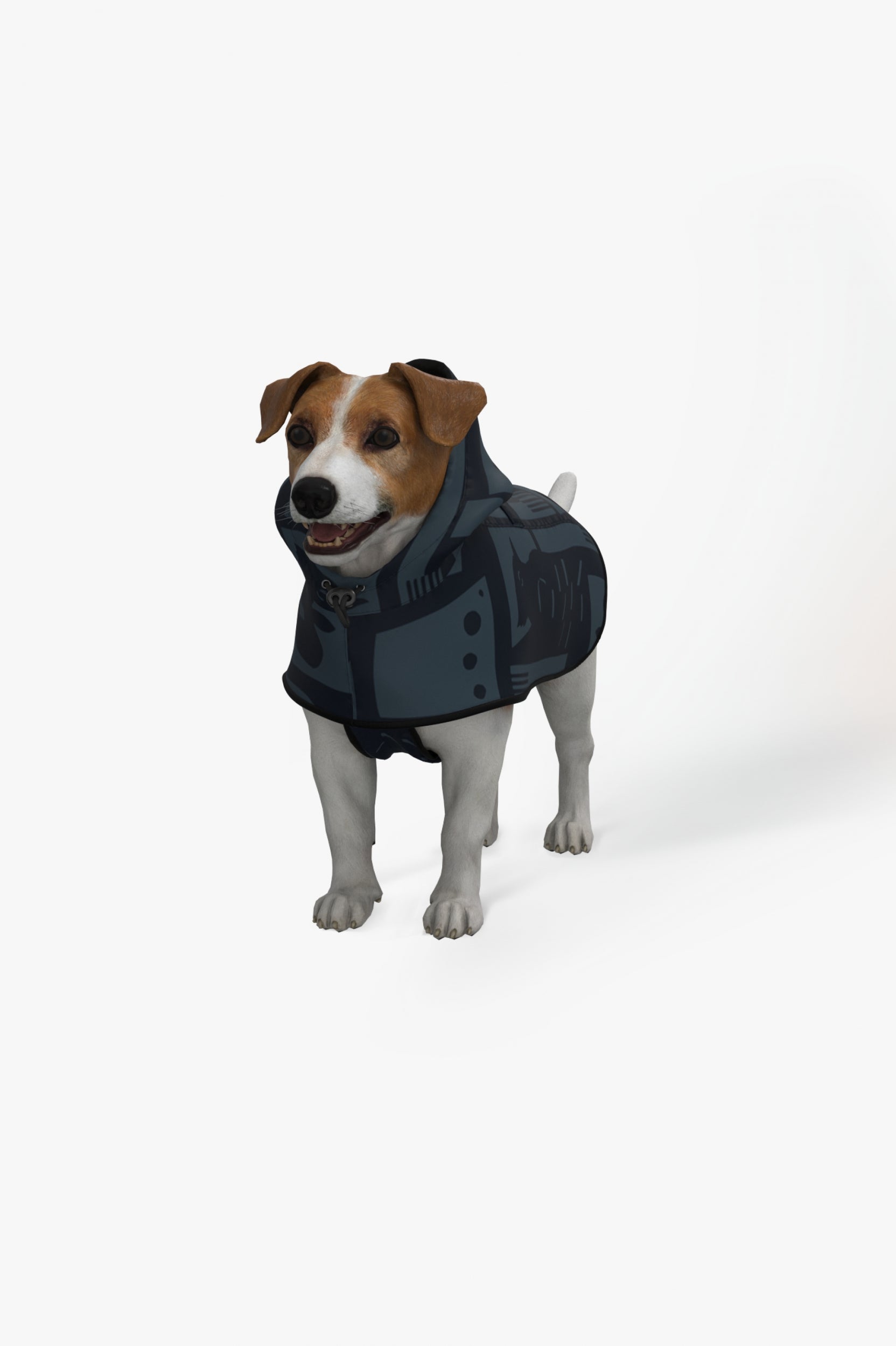 Image of Back to Black - Dog Poncho