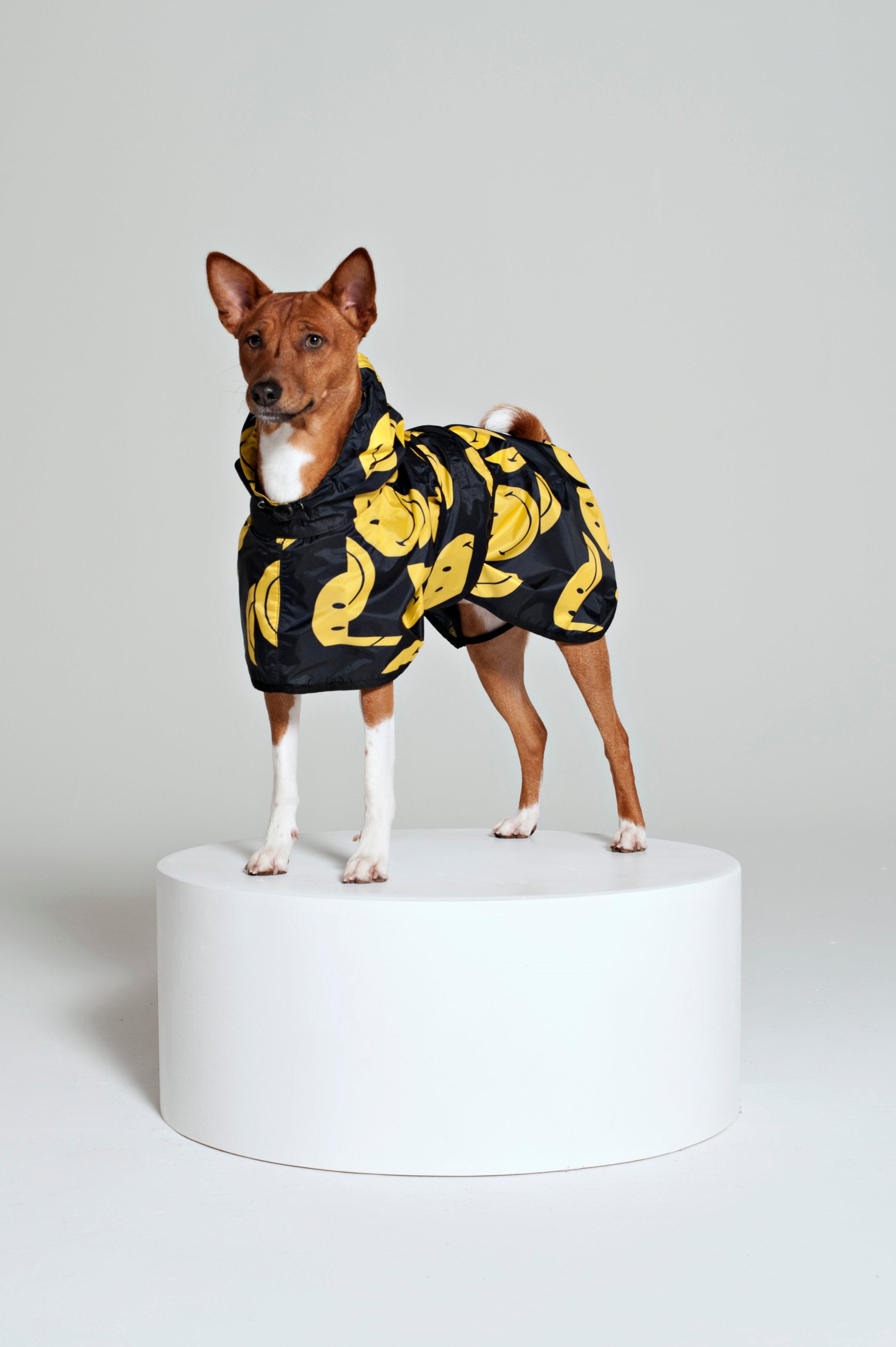 Image of All Smiles x Smiley - Dog Poncho