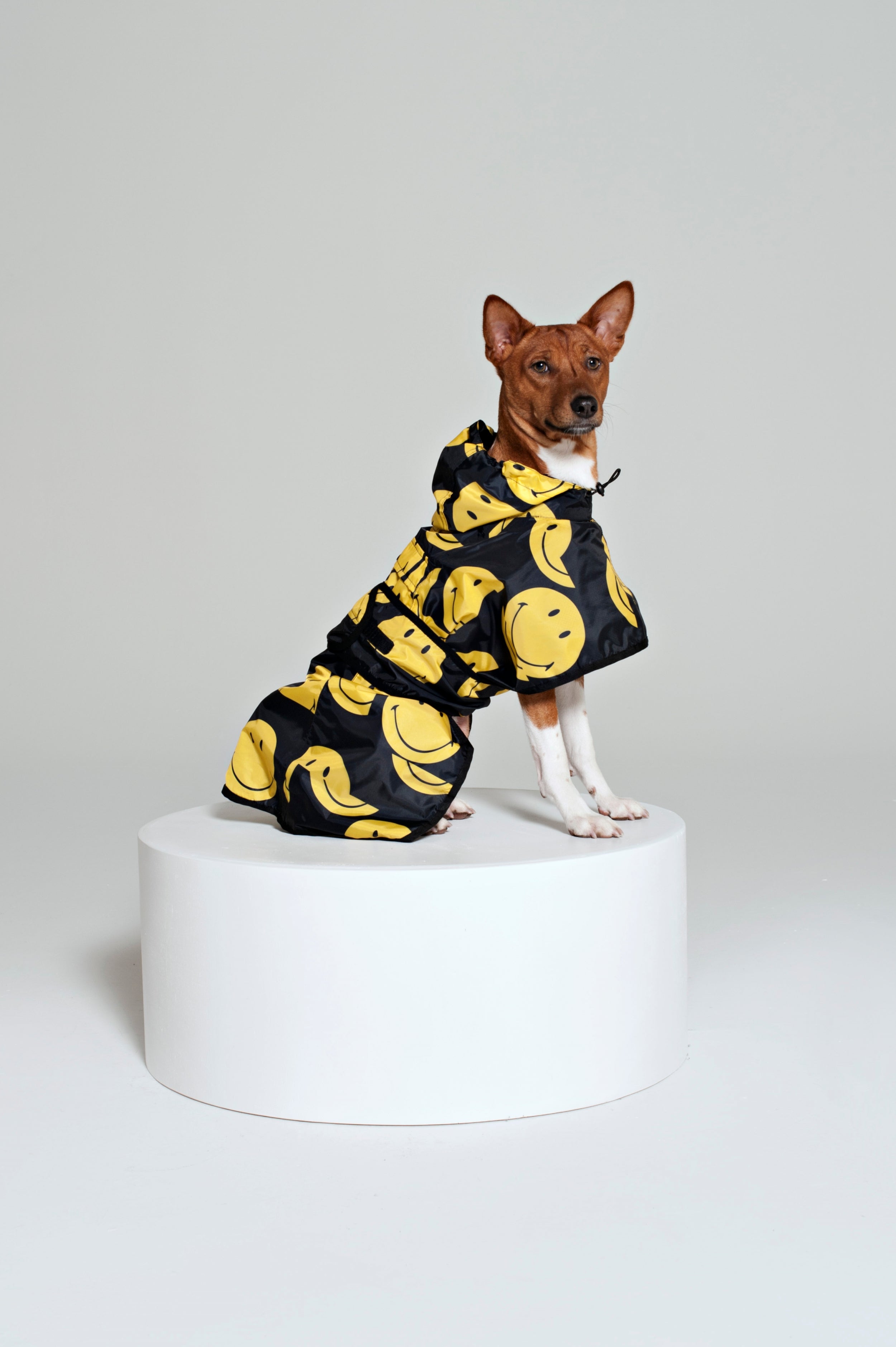 Rainkiss Rain Ponchos