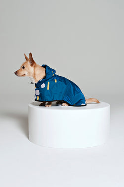 Rainkiss Rain Ponchos