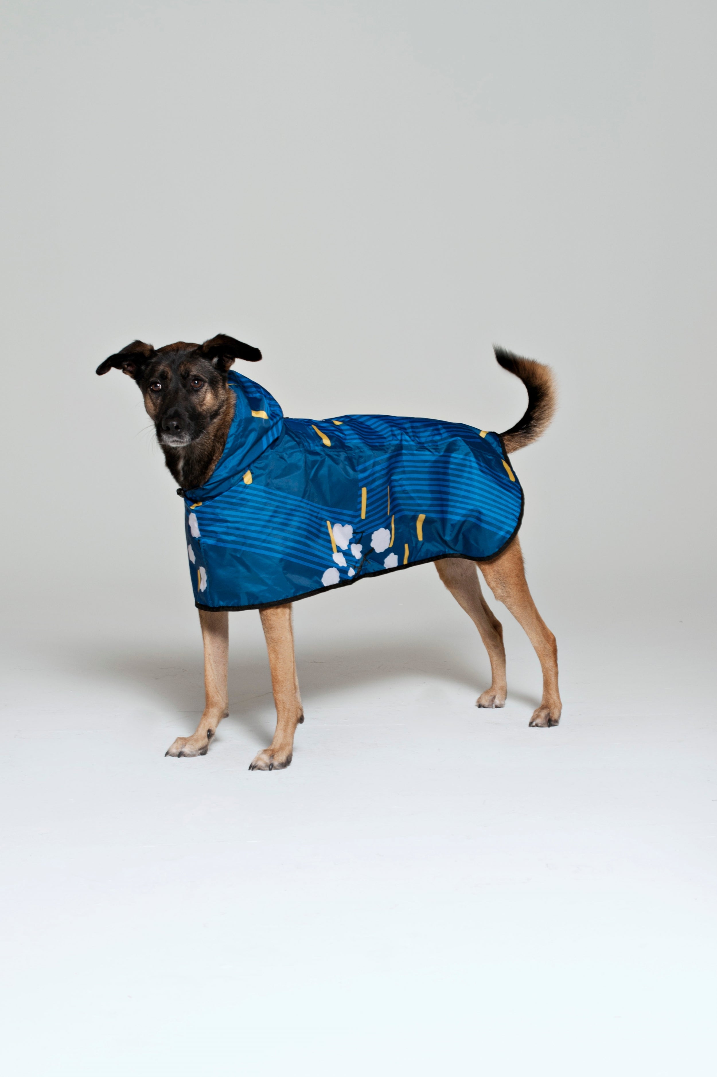 Image of Japanese Blossom - Dog Poncho