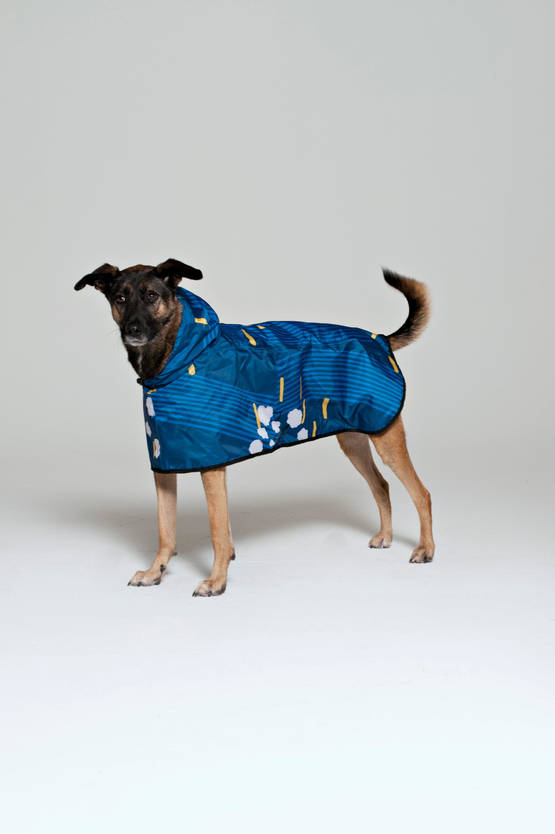 Japanese Blossom - Dog Poncho