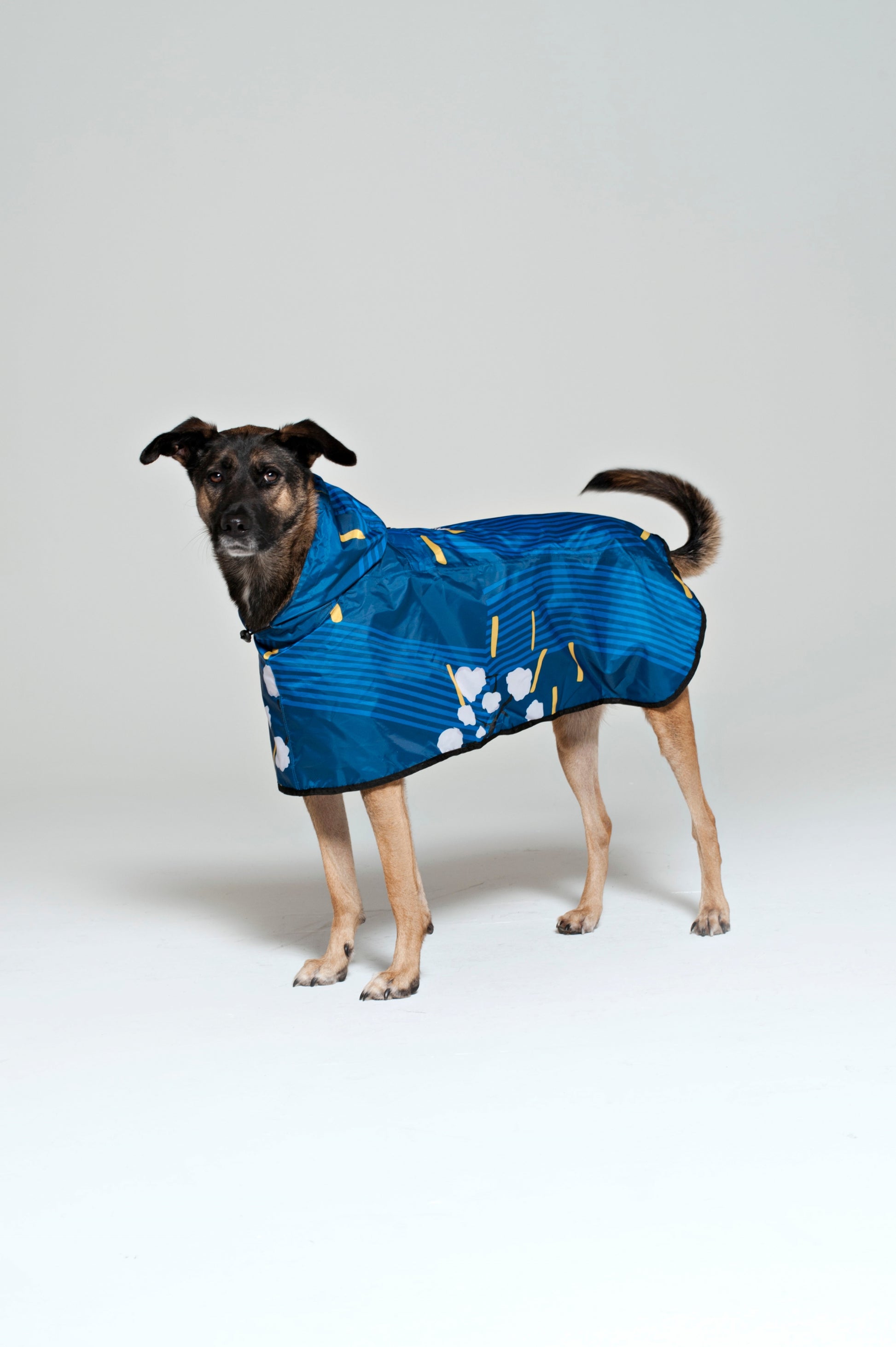 Japanese Blossom - Dog Poncho