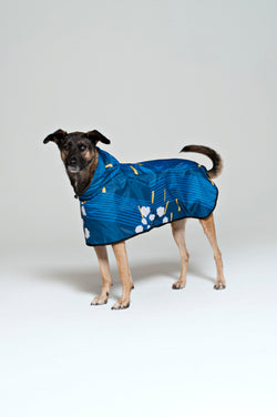 Rainkiss Rain Ponchos