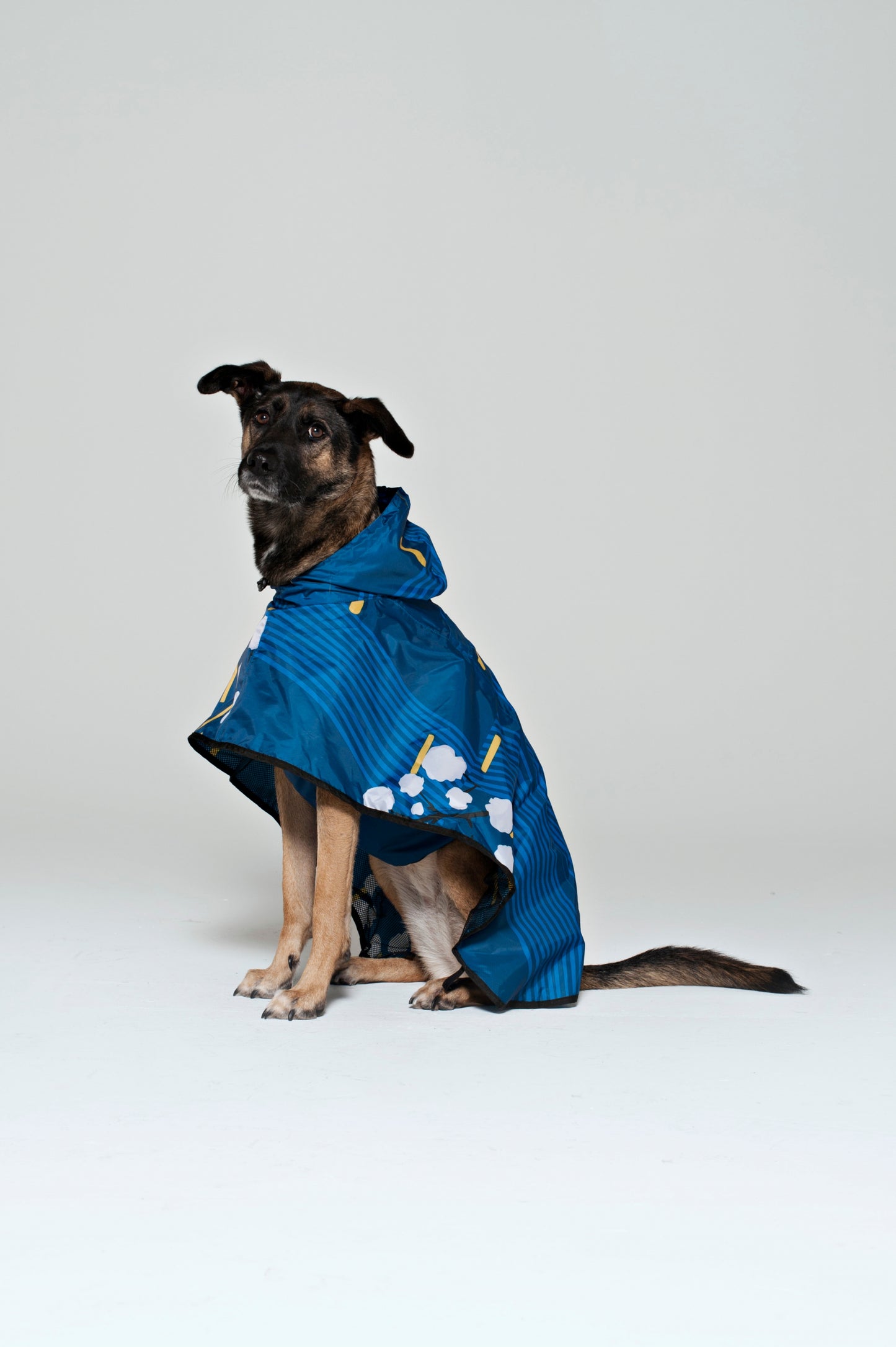 Japanese Blossom - Dog Poncho