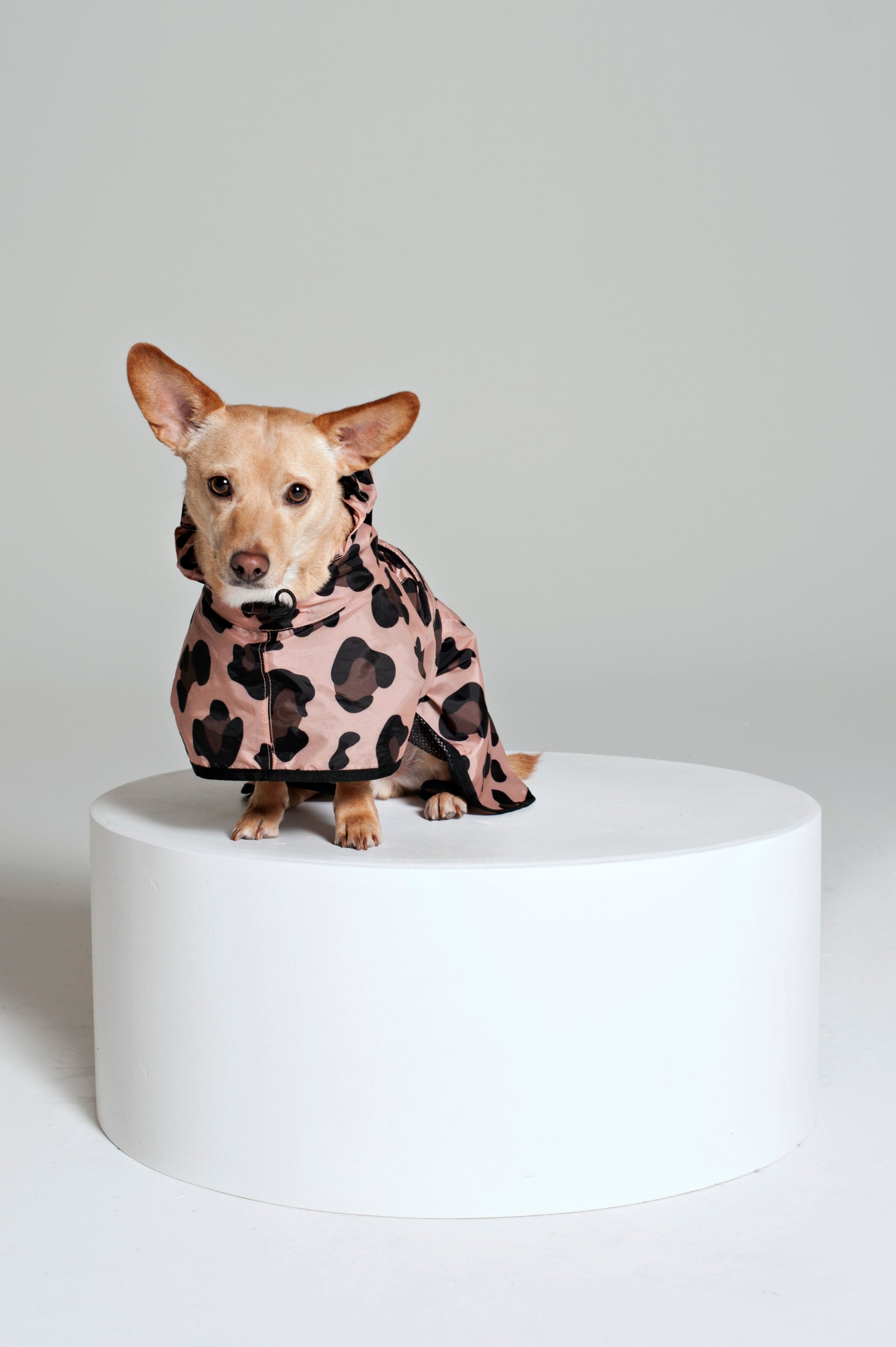 Pink Panther - Dog Poncho