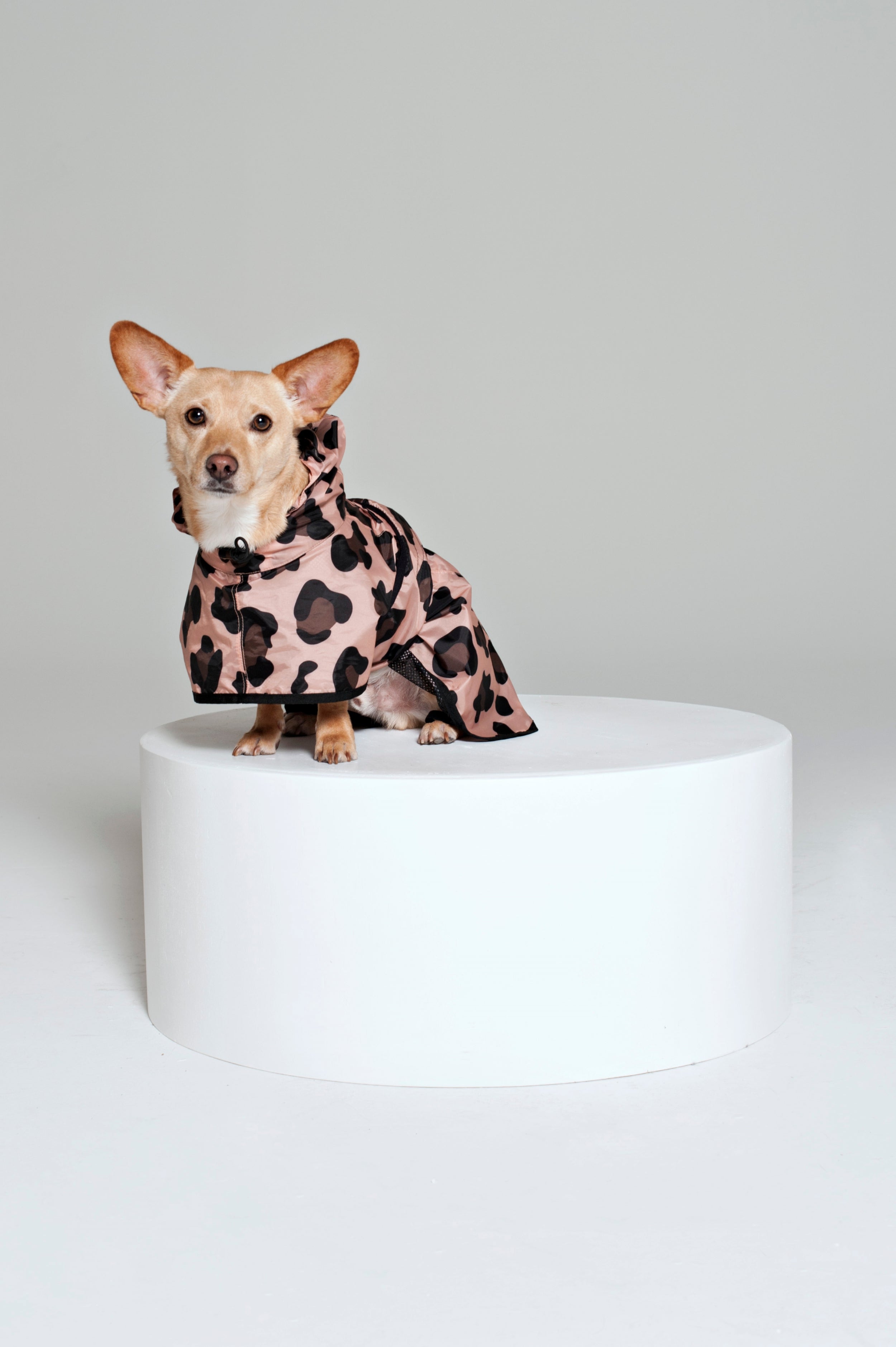 Image of Pink Panther - Dog Poncho