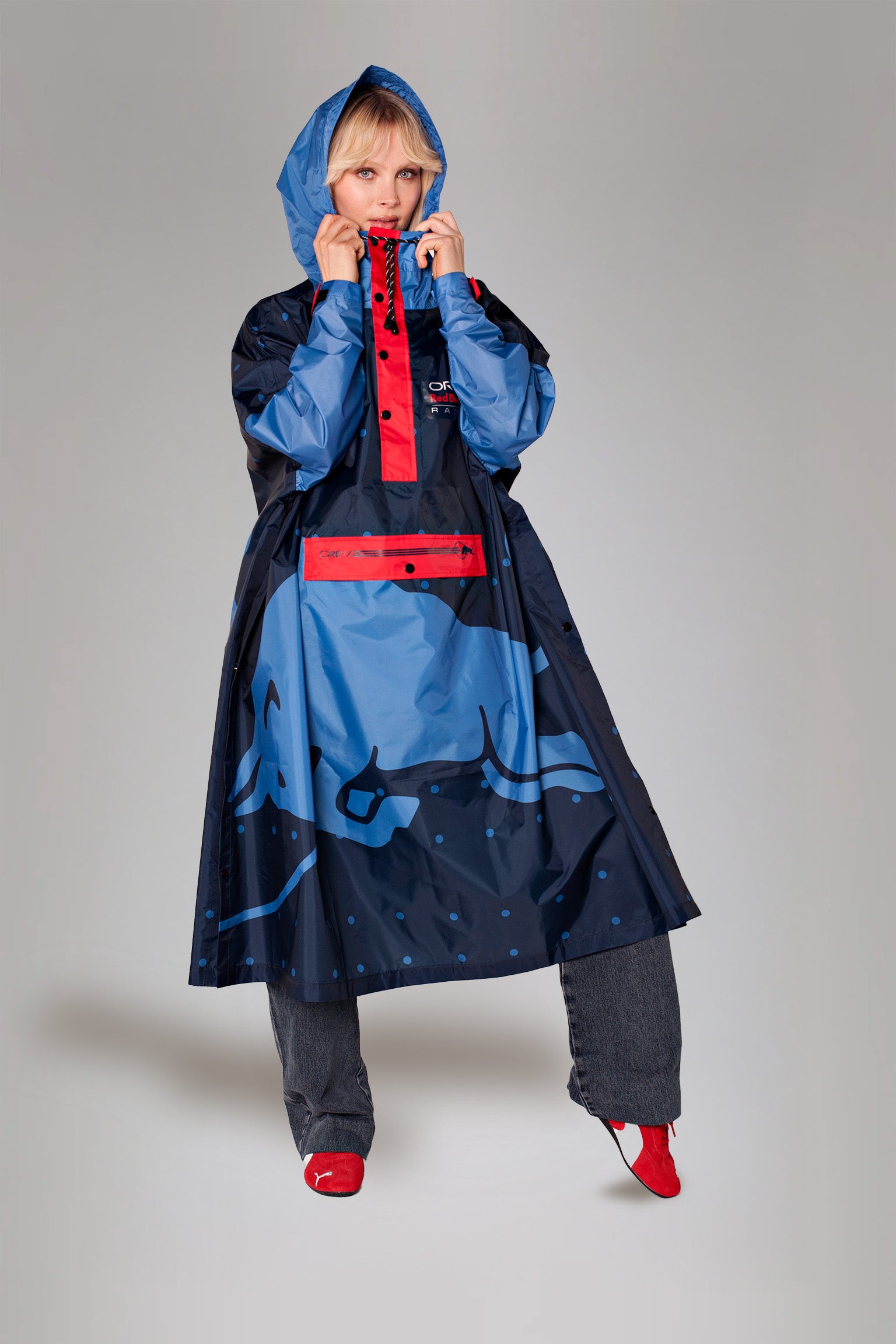 Image of Oracle Red Bull Racing 